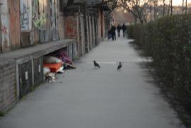 not a good picture, but we'll probably always remember the homeless living near the hostel