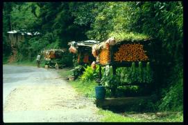 Nicaragua 1992/roadside vegetable stall/puesto de venta para verduras/legumbres