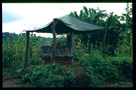 El Salvador 1995/exhibición de mueble